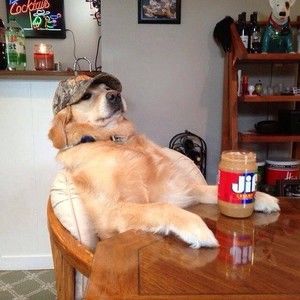 Meet your Posher, Jeff